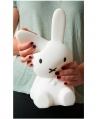 Lampara Infantil Miffy Primera Luz