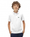Polo Niño LACOSTE Piqué Blanco