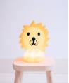 Lampara Infantil Lion Primera Luz